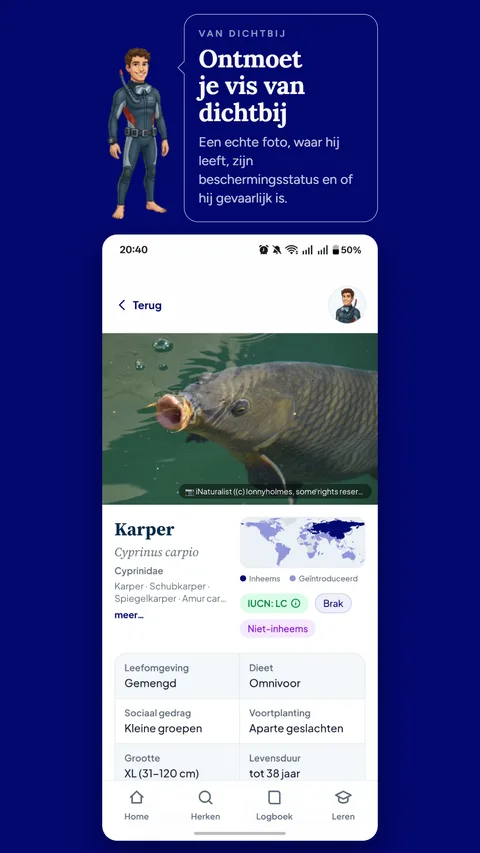 Een soortpagina met foto, kaart en status